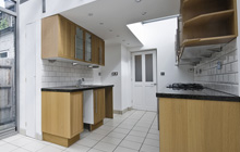 Wealdstone kitchen extension leads
